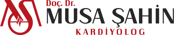 Doç. Dr. Musa Şahin